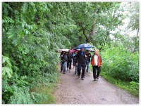 /album/fotogalerie-kola-2014/kola-2014-trebon-038-jpg/